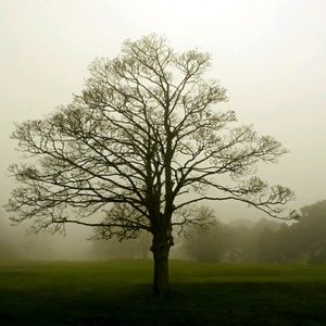 Meet your Posher, Penny